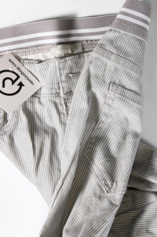 Дамски панталон Laura Torelli, Размер S, Цвят Сив, Цена 6,38 лв.
