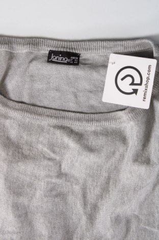Γυναικείο πουλόβερ Janina, Μέγεθος M, Χρώμα Γκρί, Τιμή 4,49 €