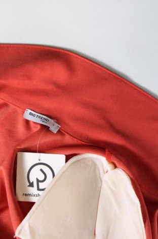 Γυναικείο παλτό, Μέγεθος L, Χρώμα Πορτοκαλί, Τιμή 5,94 €