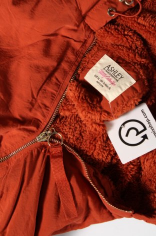 Dámska bunda , Veľkosť XL, Farba Hnedá, Cena  5,17 €