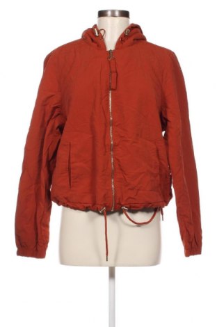Dámska bunda , Veľkosť XL, Farba Hnedá, Cena  4,90 €