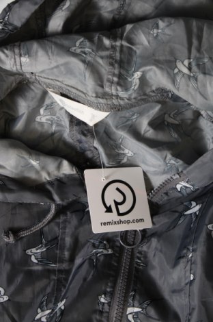 Dámska bunda  B Collection, Veľkosť M, Farba Sivá, Cena  6,53 €