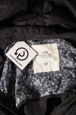 Γυναικείο μπουφάν H&M L.O.G.G., Μέγεθος XS, Χρώμα Γκρί, Τιμή 3,27 €