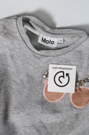 Παιδική μπλούζα Molo, Μέγεθος 5-6y/ 116-122 εκ., Χρώμα Γκρί, Τιμή 8,61 €