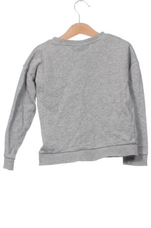 Kinder Shirt Molo, Größe 5-6y/ 116-122 cm, Farbe Grau, Preis € 9,02