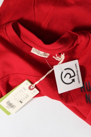 Παιδική μπλούζα Oviesse, Μέγεθος 12-13y/ 158-164 εκ., Χρώμα Κόκκινο, Τιμή 5,83 €