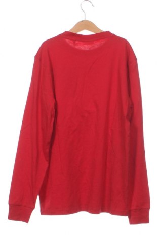 Bluză pentru copii Oviesse, Mărime 12-13y/ 158-164 cm, Culoare Roșu, Preț 28,74 Lei