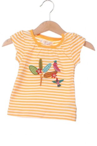 Παιδική μπλούζα Sense Organics, Μέγεθος 3-6m/ 62-68 εκ., Χρώμα Πολύχρωμο, Τιμή 5,56 €