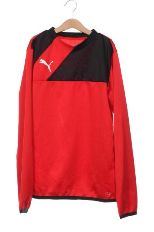 Детска спортна блуза PUMA, Размер 12-13y/ 158-164 см, Цвят Червен, Цена 12,24 лв.
