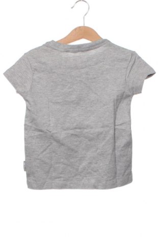 Dziecięcy T-shirt Trespass, Rozmiar 18-24m/ 86-98 cm, Kolor Szary, Cena 130,61 zł