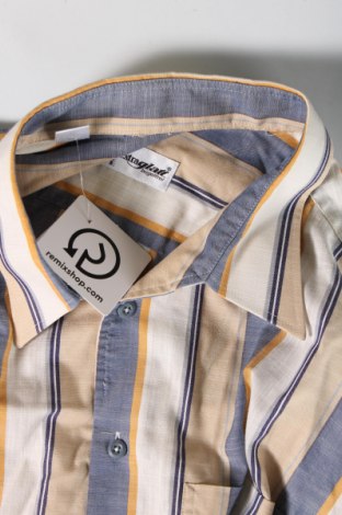 Herrenhemd Walbusch, Größe XL, Farbe Mehrfarbig, Preis 8,14 €