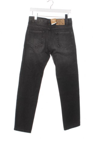 Herren Jeans Oviesse, Größe S, Farbe Grau, Preis € 7,82