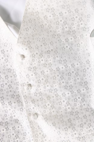 Ανδρικό γιλέκο, Μέγεθος M, Χρώμα Λευκό, Τιμή 21,99 €