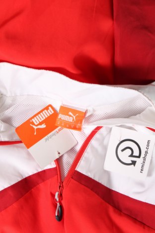 Pánska športová bunda  PUMA, Veľkosť M, Farba Červená, Cena  78,81 €