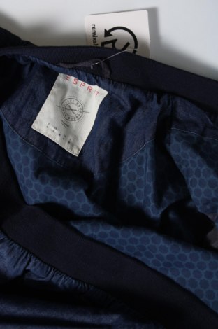 Ανδρικό μπουφάν Esprit, Μέγεθος S, Χρώμα Μπλέ, Τιμή 3,94 €