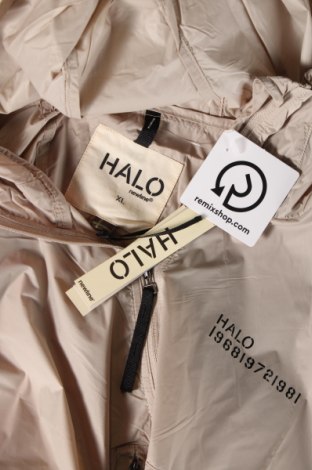 Ανδρικό μπουφάν HALO, Μέγεθος XL, Χρώμα  Μπέζ, Τιμή 40,47 €