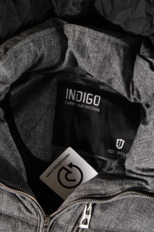 Ανδρικό μπουφάν Indigo, Μέγεθος XL, Χρώμα Γκρί, Τιμή 32,12 €