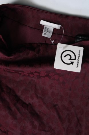Φούστα H&M, Μέγεθος S, Χρώμα Καφέ, Τιμή 2,87 €