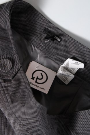 Φούστα H&M, Μέγεθος XL, Χρώμα Γκρί, Τιμή 3,77 €
