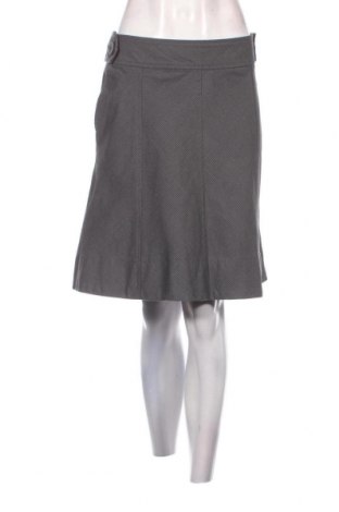 Φούστα H&M, Μέγεθος XL, Χρώμα Γκρί, Τιμή 3,77 €