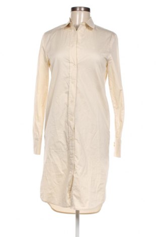 Kleid Calvin Klein, Größe XS, Farbe Beige, Preis 126,80 €