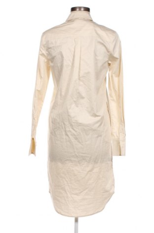 Kleid Calvin Klein, Größe XS, Farbe Beige, Preis € 21,56