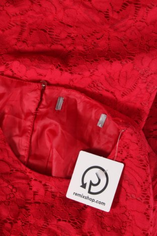 Φόρεμα Dorothy Perkins, Μέγεθος S, Χρώμα Κόκκινο, Τιμή 6,28 €