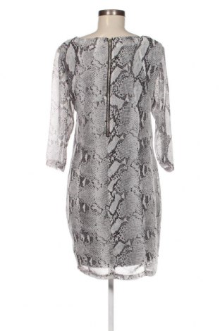 Φόρεμα Fransa, Μέγεθος M, Χρώμα Πολύχρωμο, Τιμή 3,58 €
