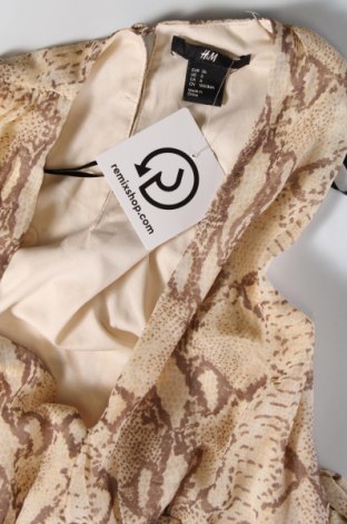 Šaty  H&M, Veľkosť S, Farba Hnedá, Cena  4,60 €