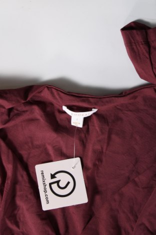 Kleid Kookai, Größe S, Farbe Rot, Preis 41,06 €