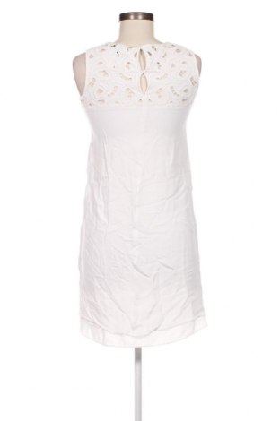 Kleid Massimo Dutti, Größe XS, Farbe Weiß, Preis 41,06 €