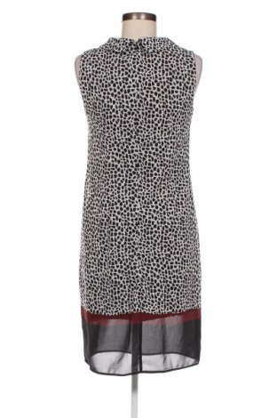 Kleid S.Oliver Black Label, Größe S, Farbe Mehrfarbig, Preis 13,14 €