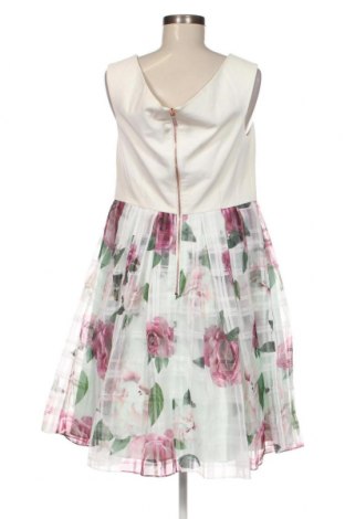 Kleid Ted Baker, Größe L, Farbe Mehrfarbig, Preis 126,80 €