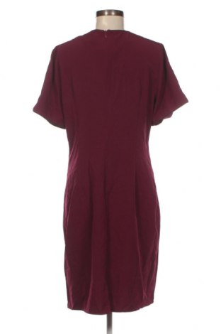 Kleid Zalora, Größe XL, Farbe Lila, Preis € 14,40