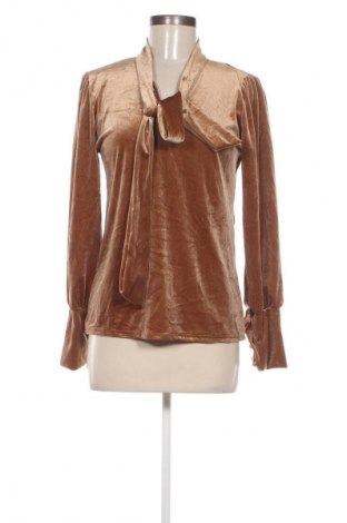 Damen Shirt, Größe M, Farbe Braun, Preis € 13,99