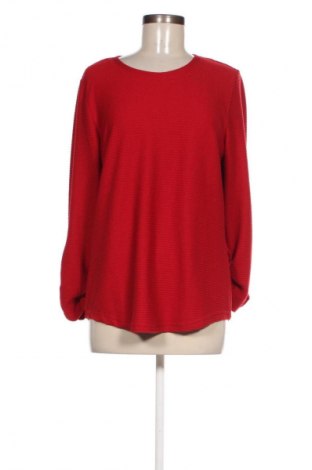 Damen Shirt 17 & Co., Größe XL, Farbe Rot, Preis € 13,99