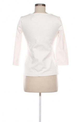 Damen Shirt Ann Taylor, Größe S, Farbe Weiß, Preis 15,99 €