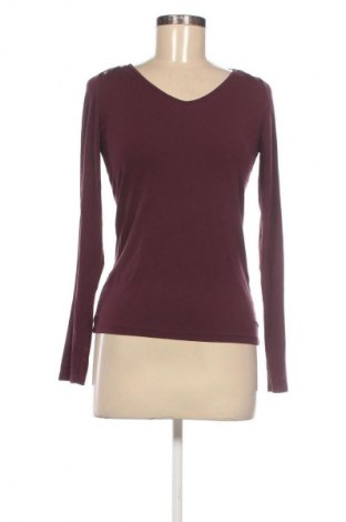 Damen Shirt Cache Cache, Größe M, Farbe Lila, Preis € 5,99