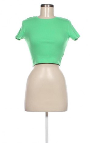 Damen Shirt FSBN Sister, Größe S, Farbe Grün, Preis € 2,99