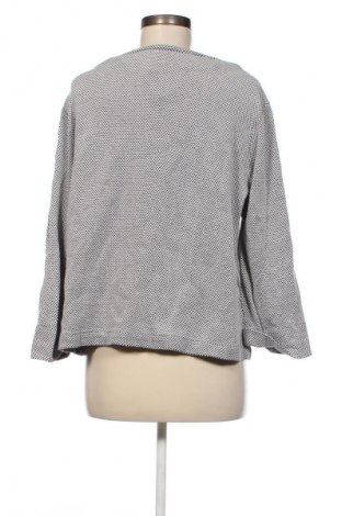 Damen Shirt Franco Callegari, Größe M, Farbe Grau, Preis € 3,99