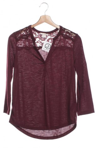 Damen Shirt H&M, Größe XS, Farbe Lila, Preis 10,00 €