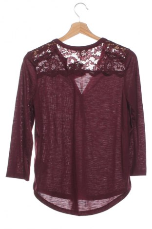 Damen Shirt H&M, Größe XS, Farbe Lila, Preis 10,00 €