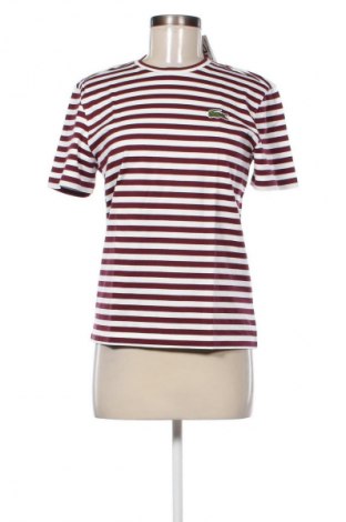 Damen Shirt Lacoste, Größe S, Farbe Mehrfarbig, Preis € 35,00