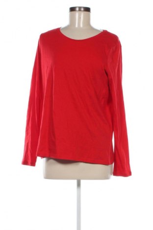 Damen Shirt Next, Größe L, Farbe Rot, Preis € 17,36