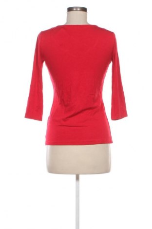 Damen Shirt Orsay, Größe S, Farbe Rot, Preis 9,72 €