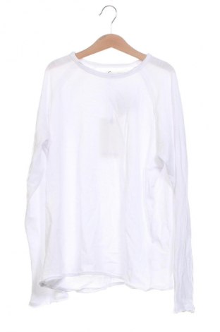 Damen Shirt Pull&Bear, Größe XS, Farbe Weiß, Preis € 16,00