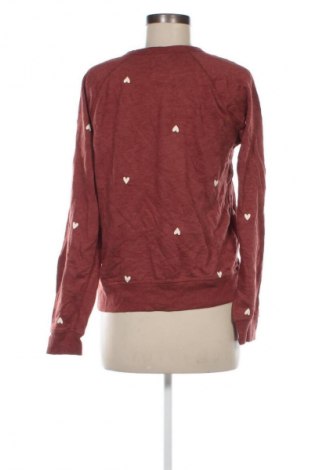 Damen Shirt Sonoma, Größe S, Farbe Braun, Preis € 3,99