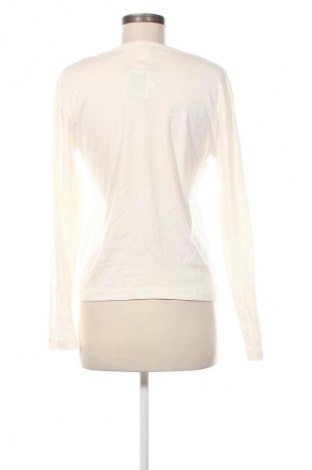 Damen Shirt Steve Ketell, Größe L, Farbe Beige, Preis € 9,99