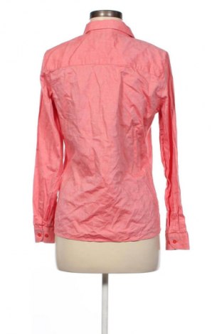 Damenbluse U.S. Polo Assn., Größe XS, Farbe Rosa, Preis 37,99 €