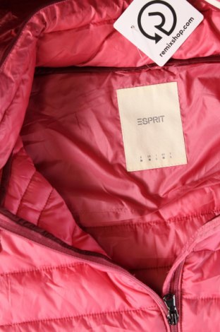 Damenweste Esprit, Größe M, Farbe Rosa, Preis € 43,99